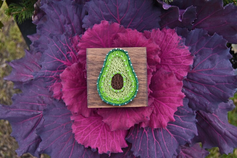 Avocado String Art Avocado Gift Small Gifts String Etsy