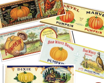 Vintage pumpkin labels tin can fruit labels USA labels kitchen decor cutlery pots printable California food labels instant download jpeg