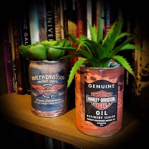 May include: Two upcycled Harley-Davidson oil cans used as planters, each containing greenery. The left can is blue and the right can is orange, both with Harley-Davidson logos and text. The planters are on a wooden shelf.