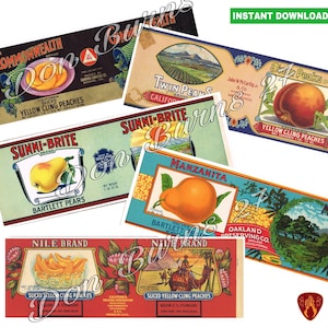 Vintage fruit can wraps food tin cans vintage fruit prints kitchen decor cutlery pots printable food labels instant download digital labels