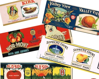 Vintage fruit can labels food tin cans vegetable prints kitchen decor  cutlery pots printable food labels instant download jpeg label