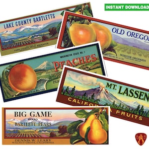 Vintage fruit tin can labels set of 5 printable digital western style food label canned fruit instant download jpeg prints kitchen decor