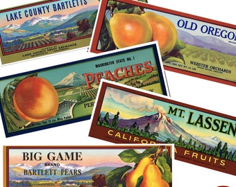 Vintage Country tin can labels set of 5 printable digital retro food label fruit canned label instant download jpeg prints kitchen decor