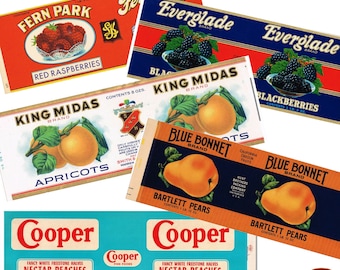 Vintage fruit labels tin can food fruit & vegetable prints kitchen decor cutlery pots printable food labels instant download jpeg label