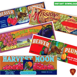 California fruit labels tin can fruit prints kitchen decor cutlery pots printable canned fruit labels bright fruit can wrap jpeg food labels