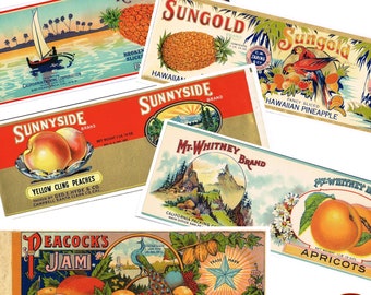 Vintage fruit can labels food tin cans vegetable prints kitchen decor cutlery pots printable food labels instant download jpeg label