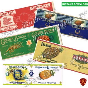 May include: A collection of vintage Hawaiian pineapple labels in various colors, including red, green, and blue. The labels feature illustrations of pineapples and text such as "Oriental Brand" and "Island Sliced Pineapple."