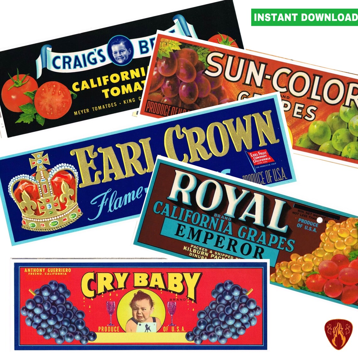 Vintage Food Labels Tin Can Fruit Labels Grape Label USA Etsy