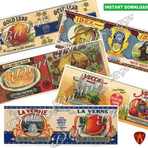 Op de afbeelding: Een verzameling vintage fruitkistlabels met illustraties van perziken, citroenen en ander fruit. De labels tonen merken als Gold Leaf, Ibex en La Verne, met teksten als "Yellow Cling Peaches" en "California Fruits."