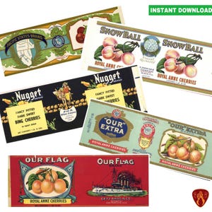Può includere: Etichette in stile vintage per barattoli di ciliegie Royal Anne. Le etichette presentano illustrazioni di ciliegie, navi e cesti di frutta. Le etichette sono stampate in rosso, blu, oro e nero.
