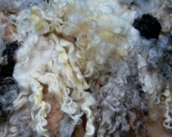 Nimm mich nach Montana... Ein Designer Weste mit einer Kuh-Mädchen im Geist... Qualität NZ Merino-Wolle und Alpaka