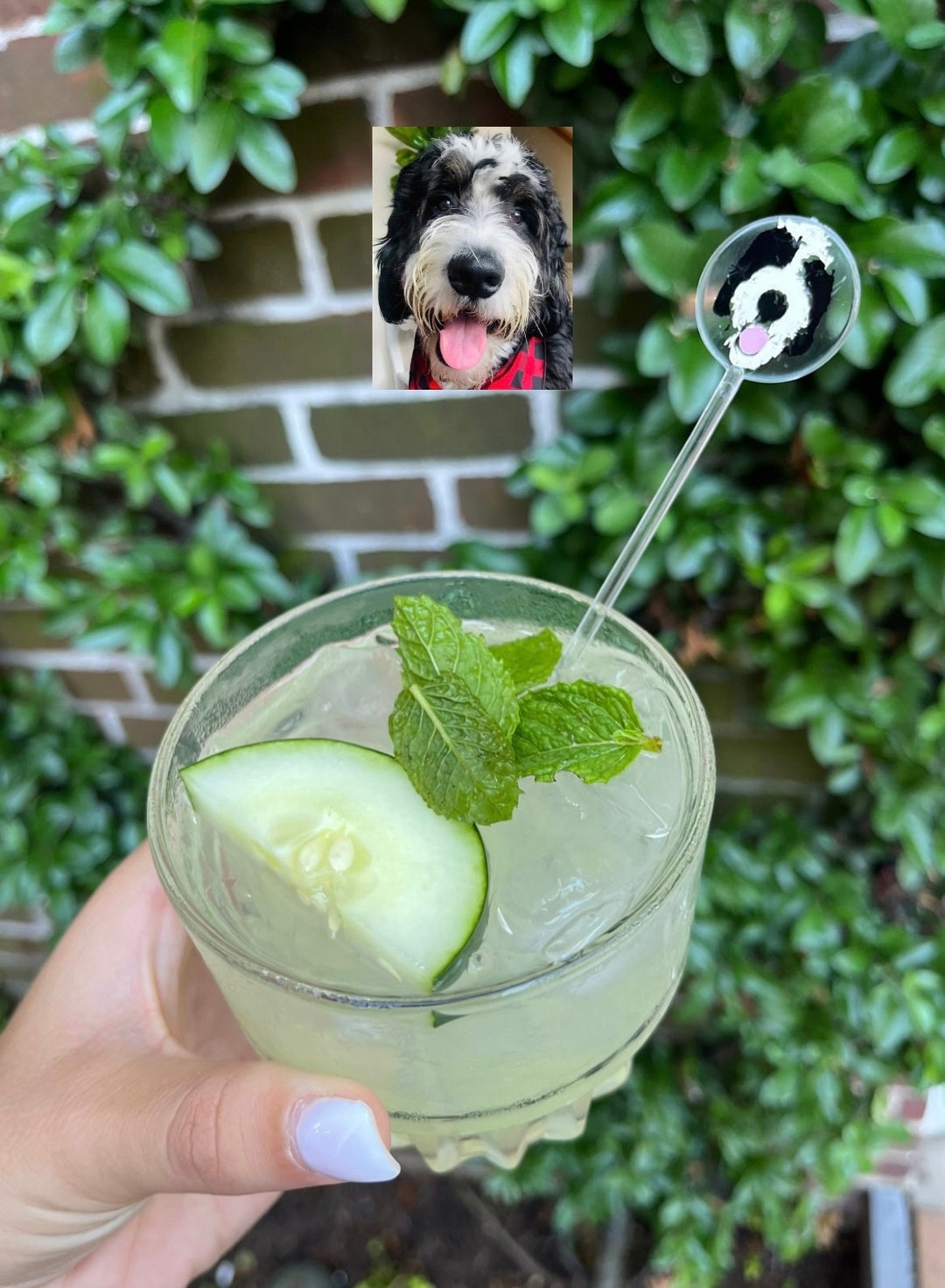 Custom Dog Drink Stirrers Personalized Dog Drink Stirrers Etsy