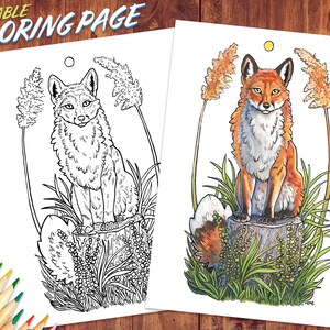 Spring Fox Coloring Page ~ Printable Coloring Page Digital Download ~ Wildlife and Nature Art ~ Coloring for Adults