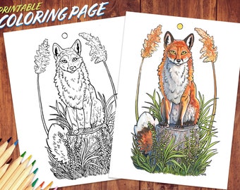Spring Fox Coloring Page ~ Printable Coloring Page Digital Download ~ Wildlife and Nature Art ~ Coloring for Adults