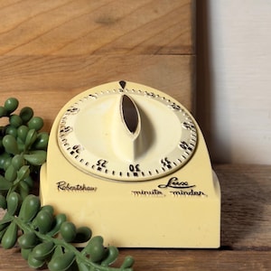 May include: A vintage, cream-colored kitchen timer with a black dial and a prominent central knob. The timer, labeled "Robertshaw" and "Lux minute minder," features a circular dial with minute markings. A green succulent plant is in the foreground.
