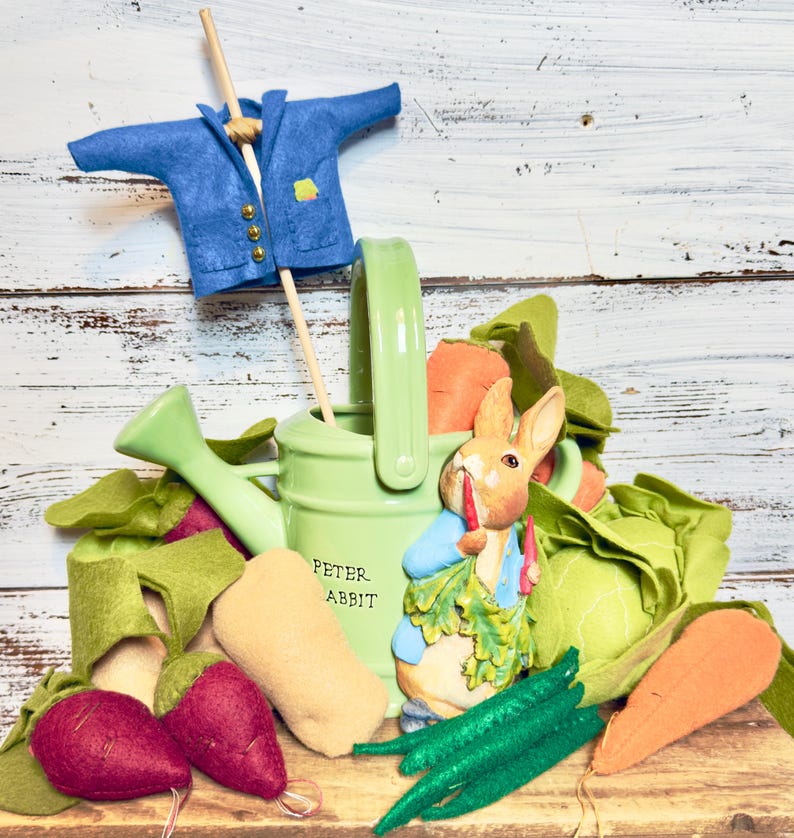 Peter Rabbit's Jacket / Mr. Mcgregor's Garden / Baby Shower Decor ...