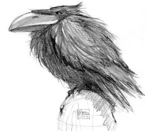 Munin VII, Raven, Raven, Fine Art Giclée, ArtPrint