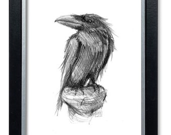 Munin, Rabe, Raven, Fine Art Giclèe, ArtPrint