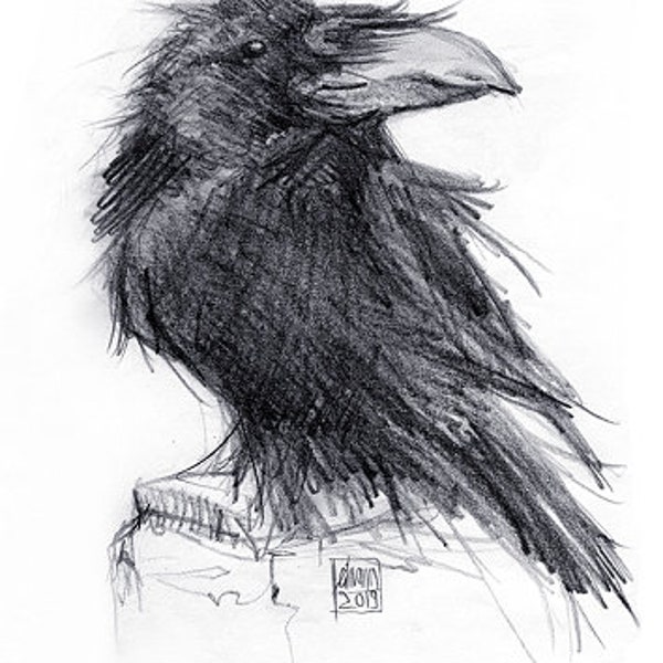 Munin, Rabe, Raven, Fine Art Giclèe, ArtPrint