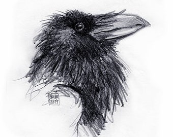 Munin, Rabe, Raven, Fine Art Giclèe, ArtPrint