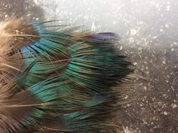 Poëzie dealer lokaal Turquoise veren Blauw groene veertjes DIY Turquoise veren | Etsy Nederland