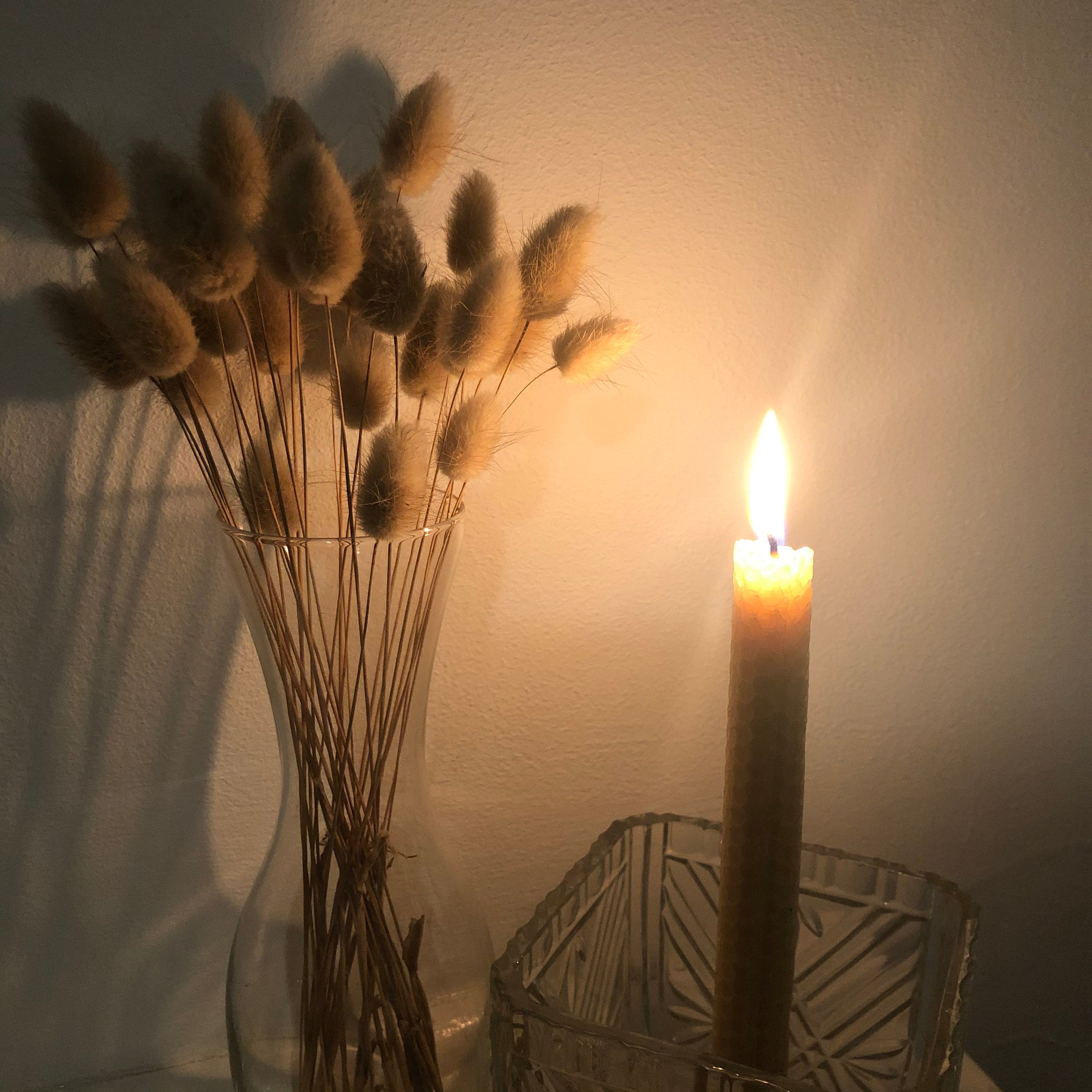 Beeswax Dinner Candles 6 X Hour Burn Time Each You Choose Etsy Australia