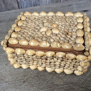 Pode incluir: Uma caixa retangular de madeira totalmente coberta por um denso mosaico de pequenas conchas de cores claras. A tampa e as laterais apresentam uma mistura de conchas brancas lisas e arredondadas e conchas menores em espiral de tom bege.