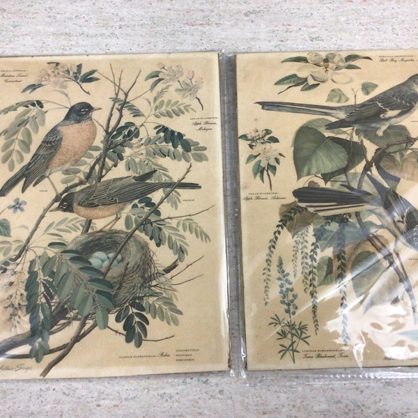 2 original vintage Arthur Singer state bird lithographs