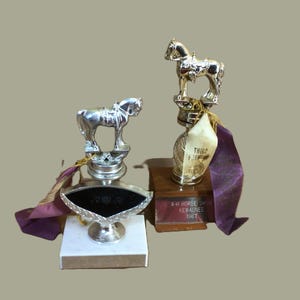 2 trofei di cavalli retrò 1967 e 1973