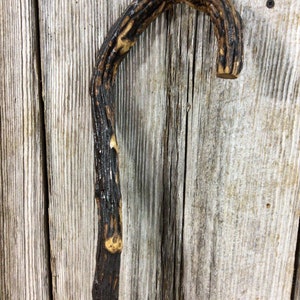 Dried vine or stalk cane Southern Appalachia folk art
