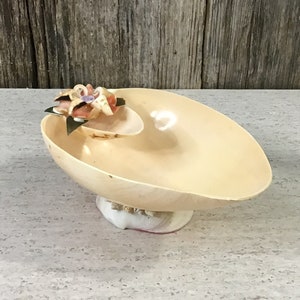 Very nice natural seashell pedestal bowl