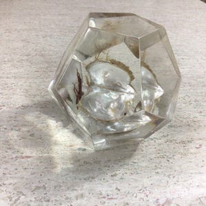 Retro Lucite paperweight with oyster and pearl
