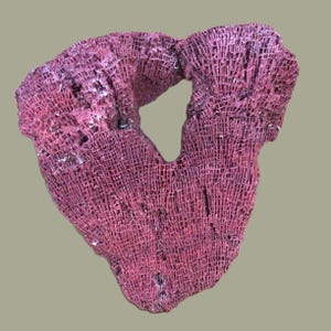 May include: A pink coral specimen with a unique, intricate, net-like structure. The coral has a V-shape with a hole in the center.
