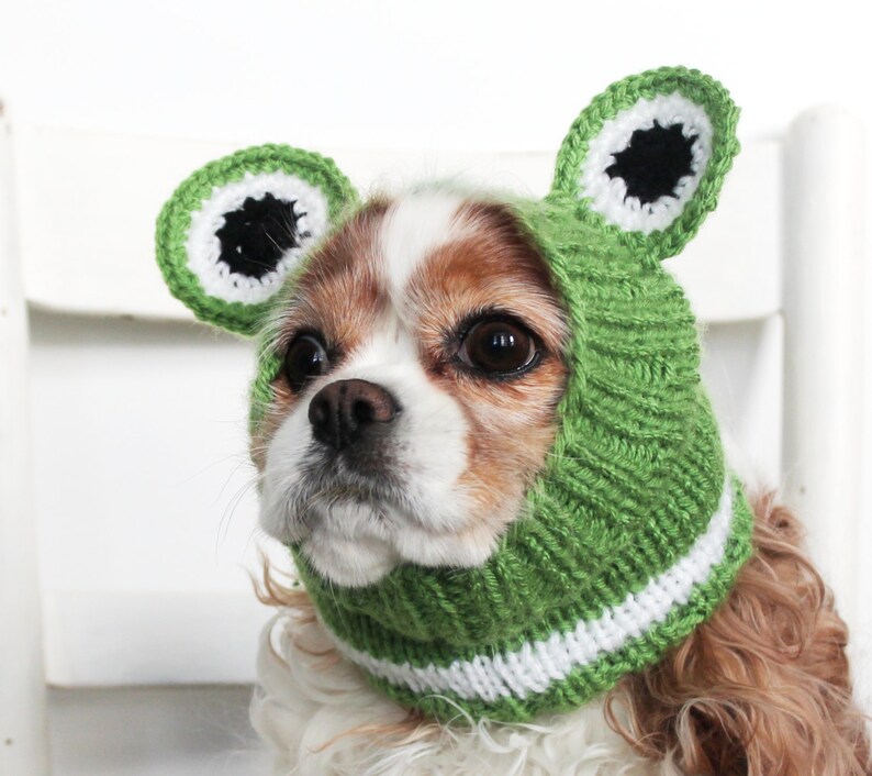 Frog Dog Snood Hand Knit Long Ear Covering Cold Weather Etsy