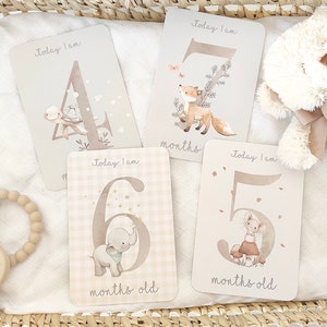 VERJAARDAGMAAND kaarten voor baby's, Babykaarten om het eerste jaar te fotograferen.