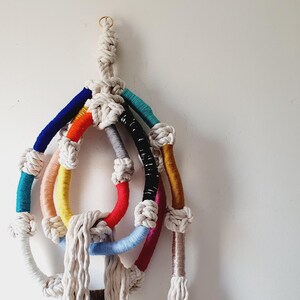 Colorful Macrame Rope Wall Hanging: Knotted Fiber Art Decor (14x57 inches)