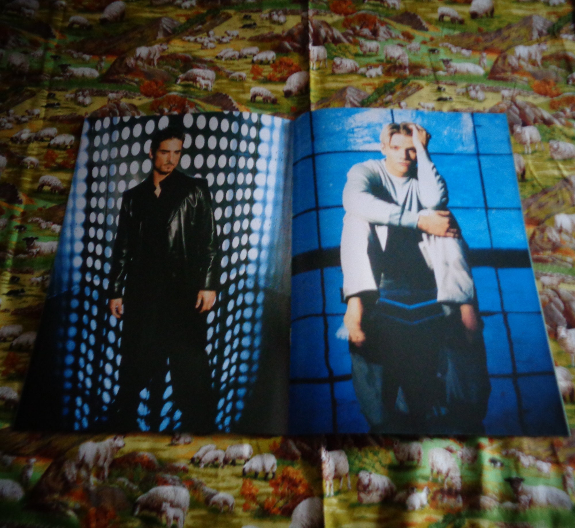 Backstreet Boys Official Fan Club Pack Music Memorabilia Etsy