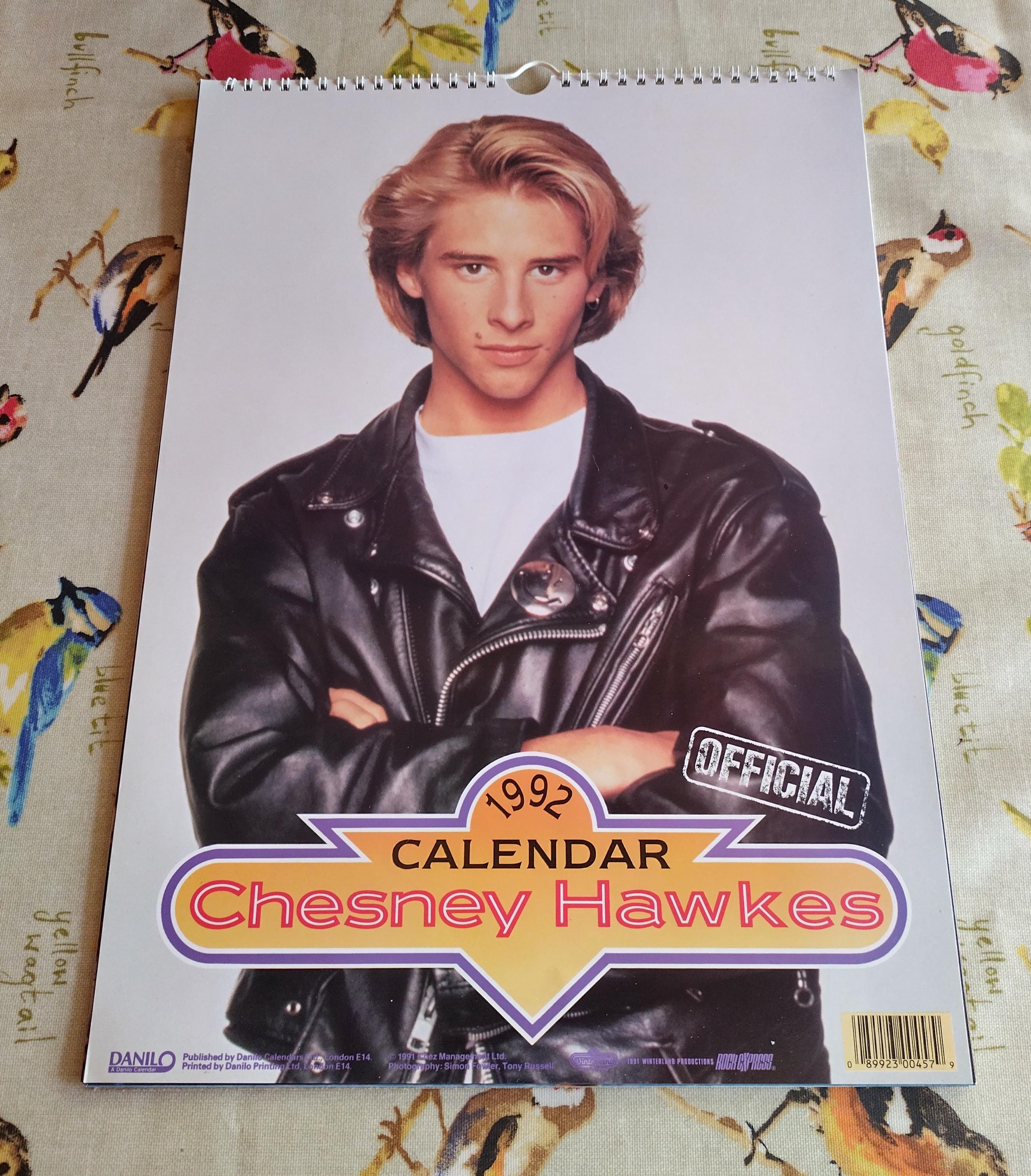 洋楽 Chesney Hawkes The Complete Picture Chesney Hawkes The Complete Picture