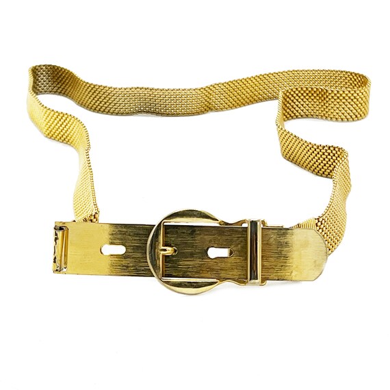 Retro Gold Metal Waist Cinching Belt With Metal C… - image 2