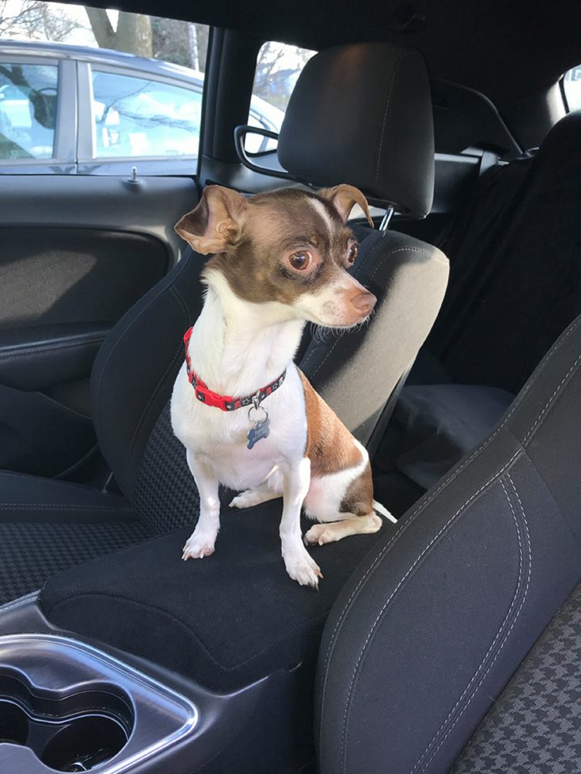 GAFAT Toyot C HR 2016 2022 2023 Centre | Offer Of The Day