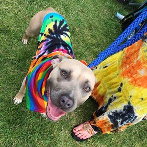 Dog Tank Top (Pet Clothing) Custom Tie Dye Sizes XS to 3X (You choose colors and tie dye style)