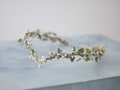 Elven crown, fairy tiara, dainty twig headband, green white fairy crown, crystal elven circlet, leaf floral crown, elf headpiece product logo