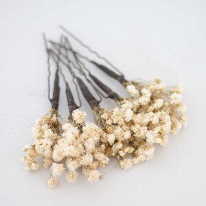 Ivory baby breath flower hairpins, beige baby's breath hair piece, dried baby breath hairpins, preserved floral bobby pins, hair accessories