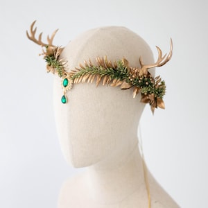 ビカクシダ Yellow Moon Dwarf Antler Crown ビカクシダ Yellow Moon