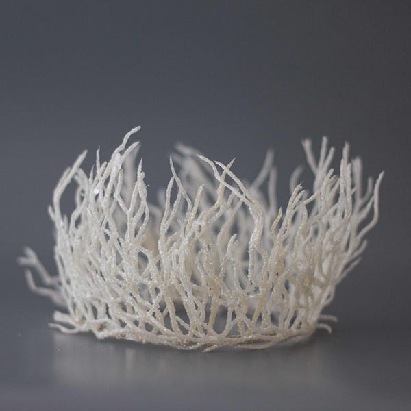 Tiara de invierno con purpurina blanca: diadema con corona de ramitas escarchadas