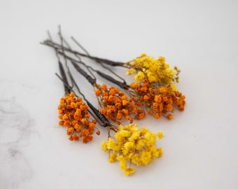 Baby's breath hairpins, real dry flower bobby pins, fall hairpiece, preserved floral hair piece, autumn flower hairpins, floral hair pick