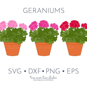 Geranium Clipart, Commercial Use, Simple Geranium SVG in pink and red, Garden Clip Art, Spring PNG, Flower with Transparent Background