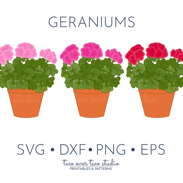 Geranium Clipart, Commercial Use, Simple Geranium SVG in pink and red, Garden Clip Art, Spring PNG, Flower with Transparent Background