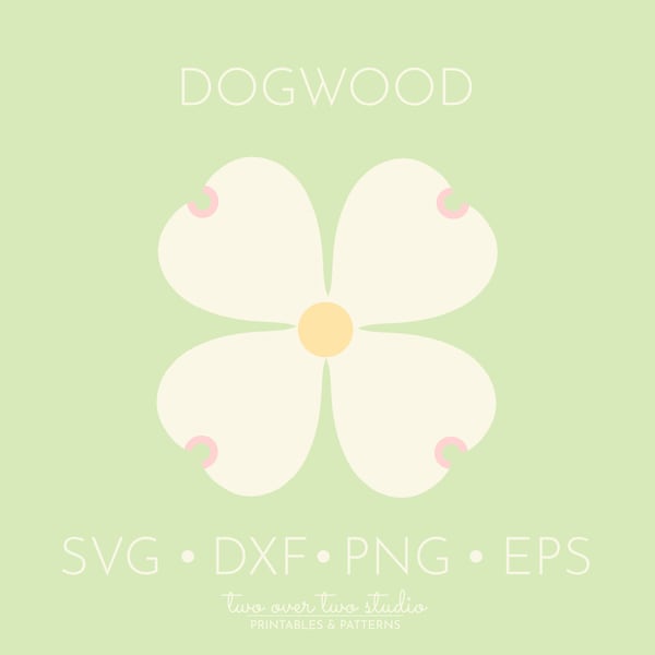 Dogwood SVG, Commercial Use, White Dogwood Clipart, Dogwood Flower Clip Art, Dogwood Tree, Spring, Illustration