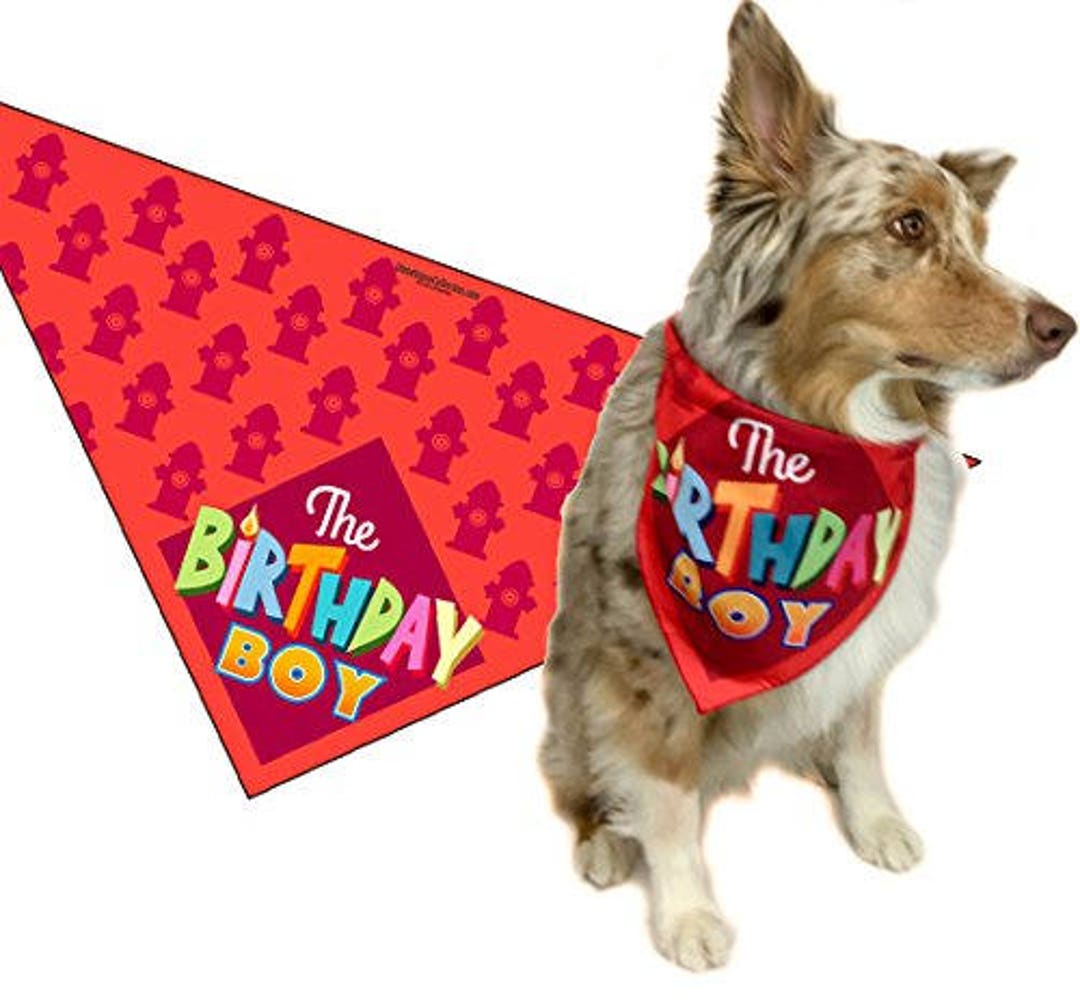 Birthday Boy Happy Birthday Dog Bandana Dog Birthday Scarf Etsy